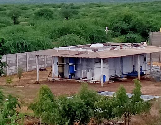 Koicha Environment Consultants