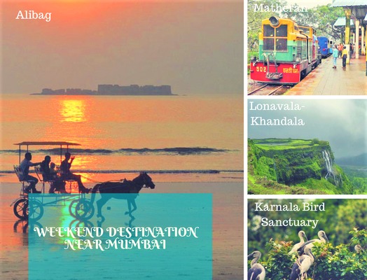 Destination Trips Pvt Ltd